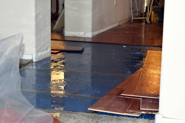 Professional Basement Flood Cleanup technician working in Holland, MN